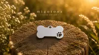 Pet tag "Dog" — photo 5
