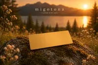 Name badge — photo 1